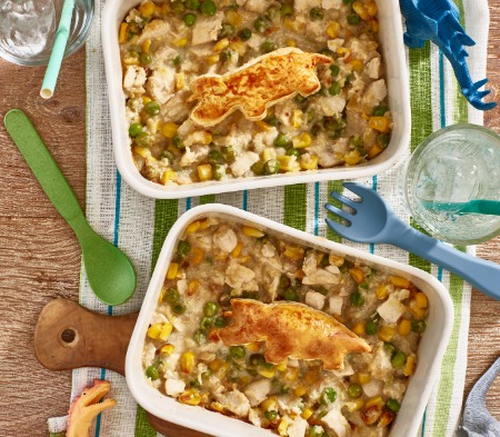 COOK healthy and plant-based dishes